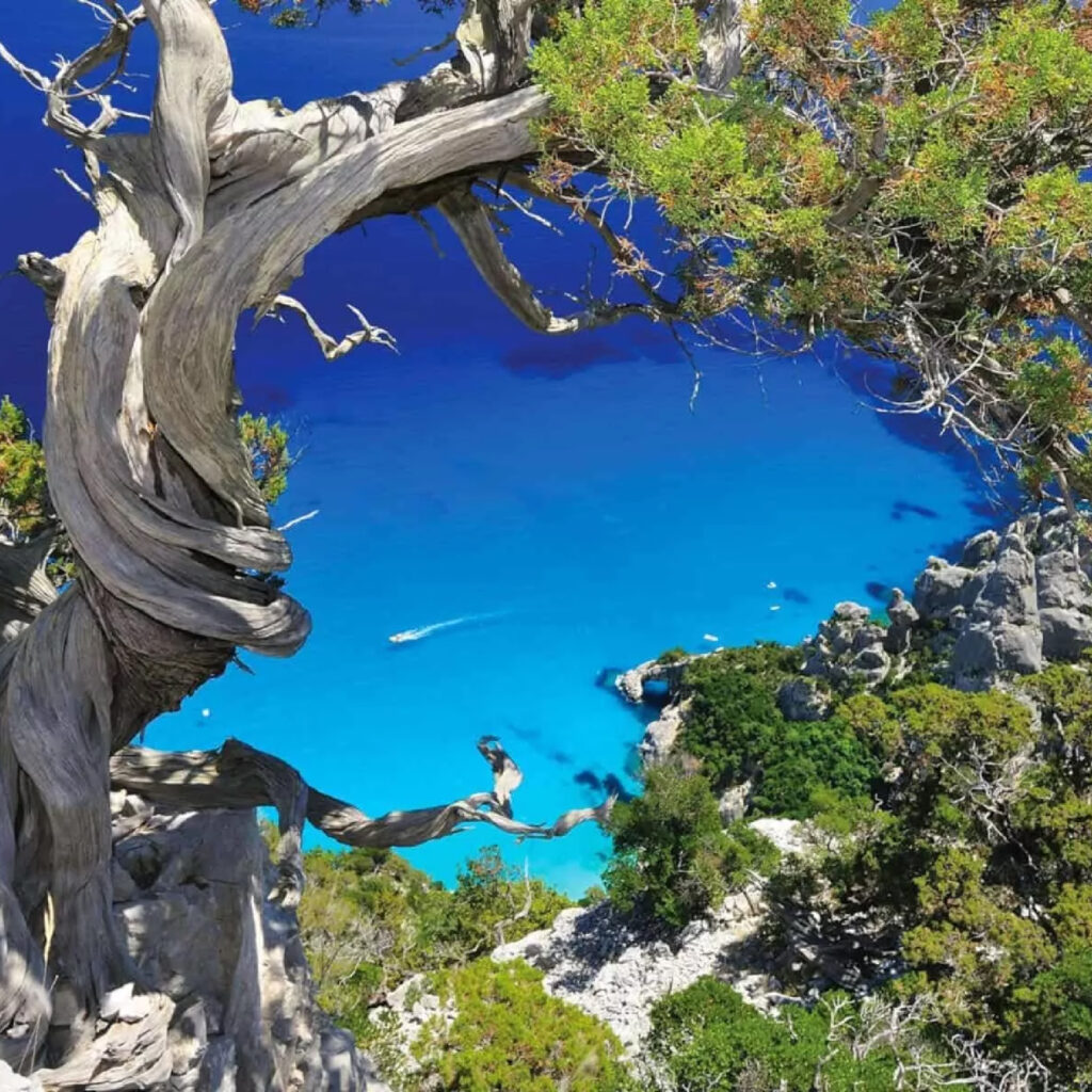 Spiagge dell'Ogliastra